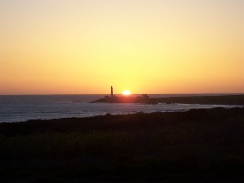 Pacific Sunset (palo-alto_100_0379.jpg) wird geladen. Eindrucksvolle Fotos von der Westküste Amerikas erwarten Sie.